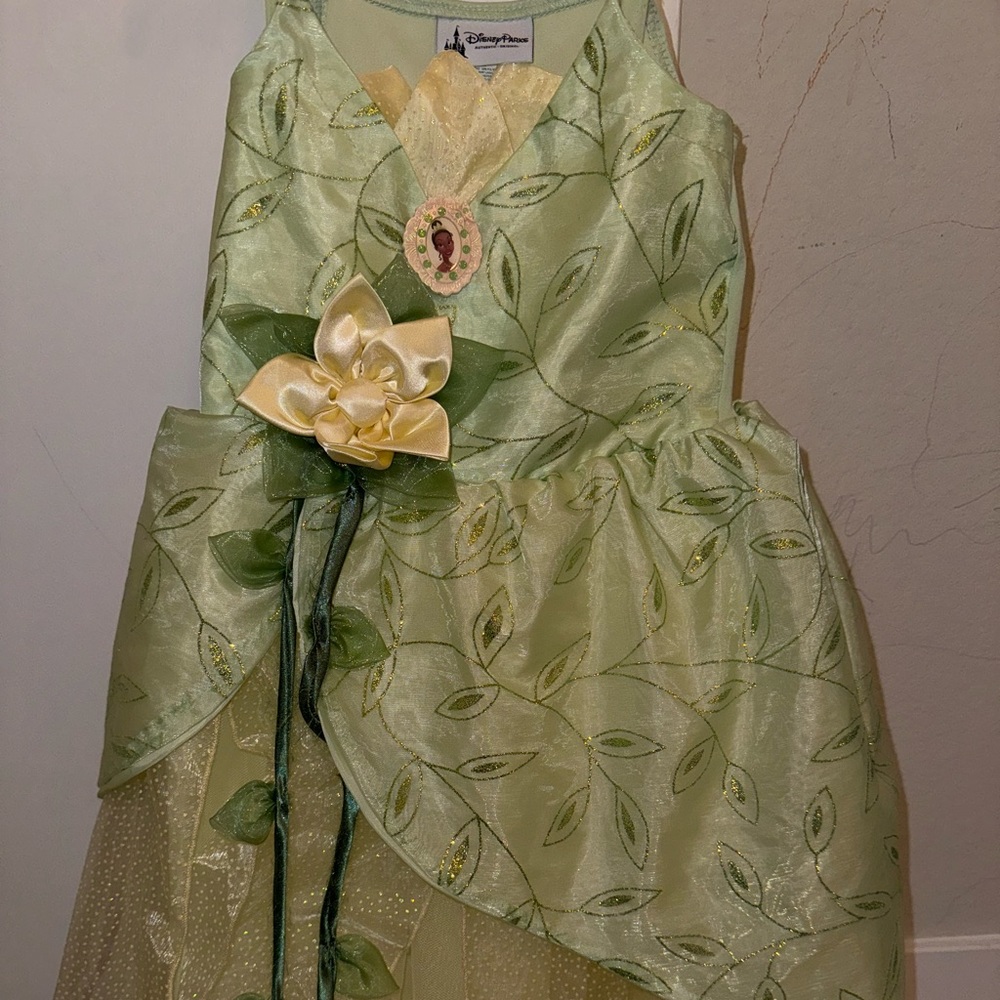 Princess Tiana, Disney dress size X, small, 4–5